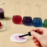 Reazioni acido-base con indicatori naturali: il trucco per vedere la chimica con gli occhi